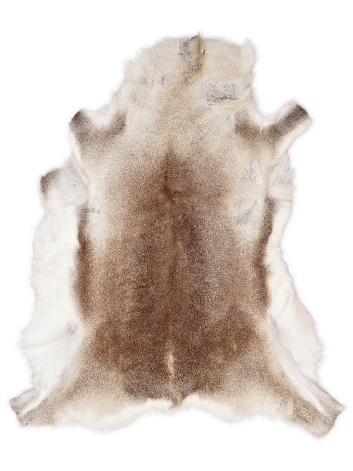 Reindeer hide of about 130 × 115 cm, seen from above: the exact hide you receive