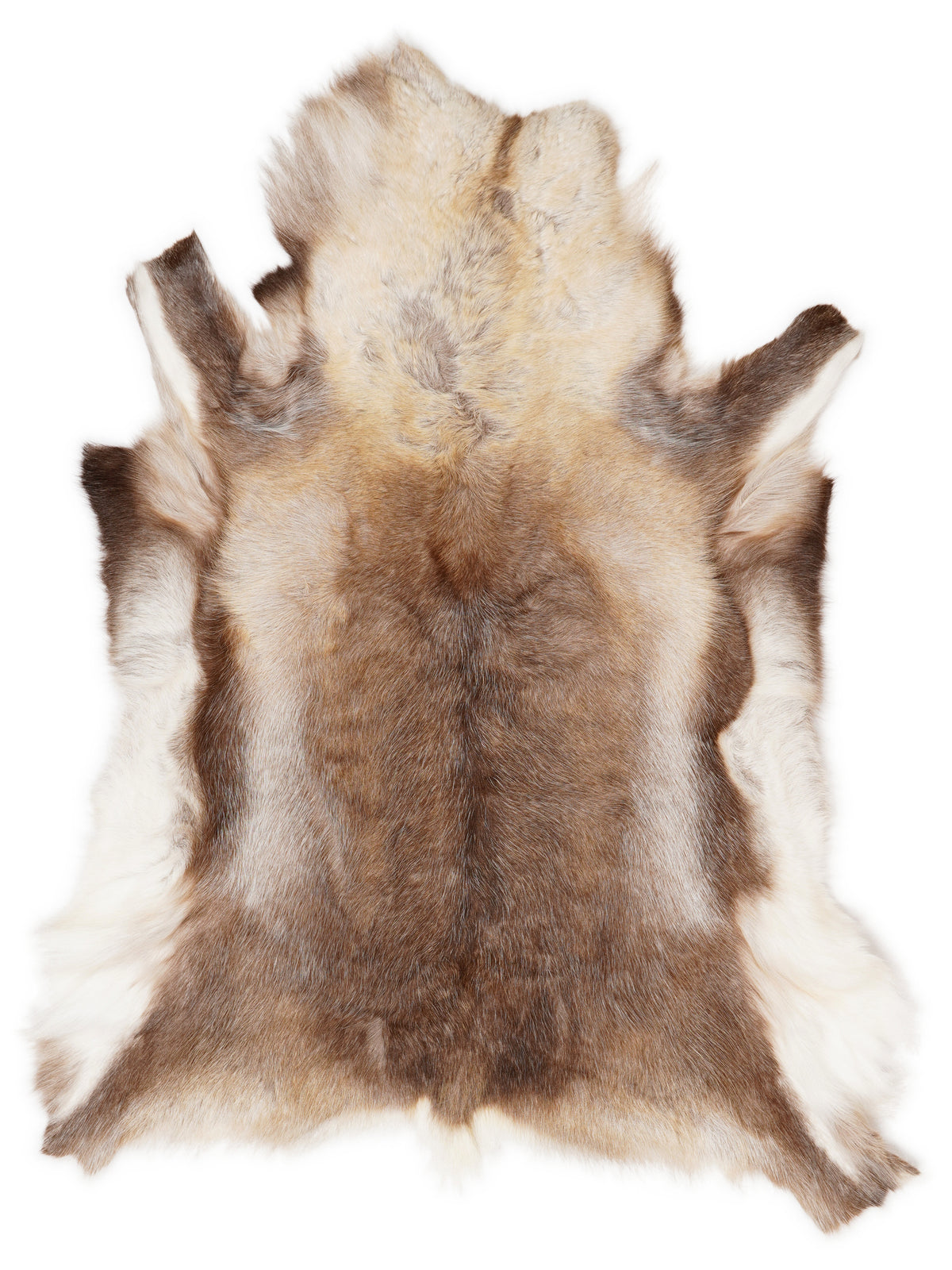 Reindeer hide of about 120 × 100 cm, seen from above: the exact hide you receive