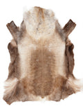 Reindeer hide of about 145 × 120 cm, seen from above: the exact hide you receive
