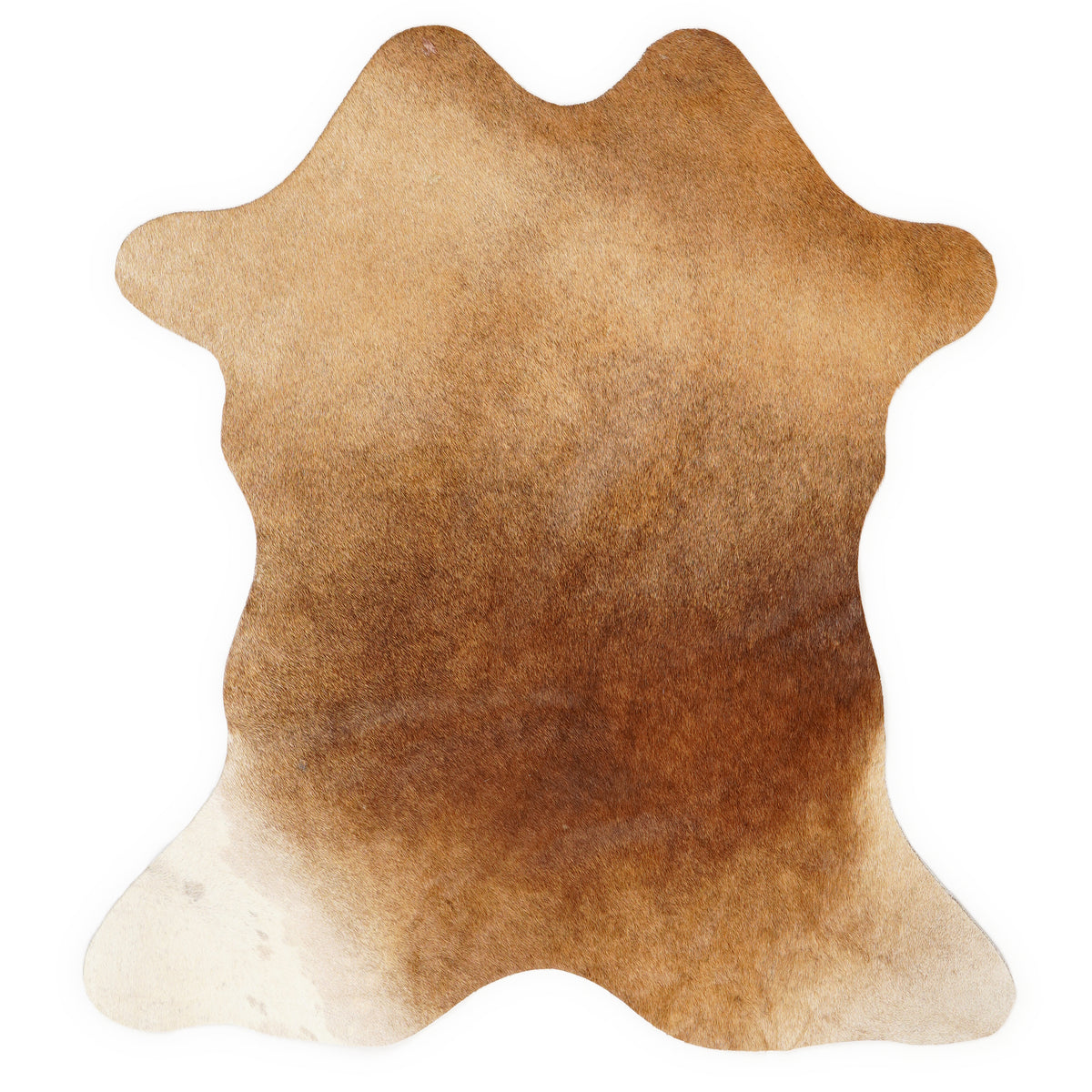 Mini cowhide of about 70 × 70 cm, seen from above: the exact hide you receive