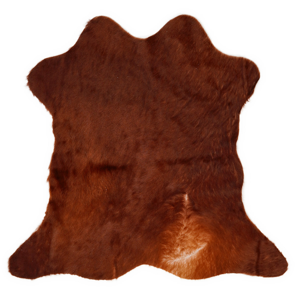 Mini cowhide of about 70 × 70 cm, seen from above: the exact hide you receive