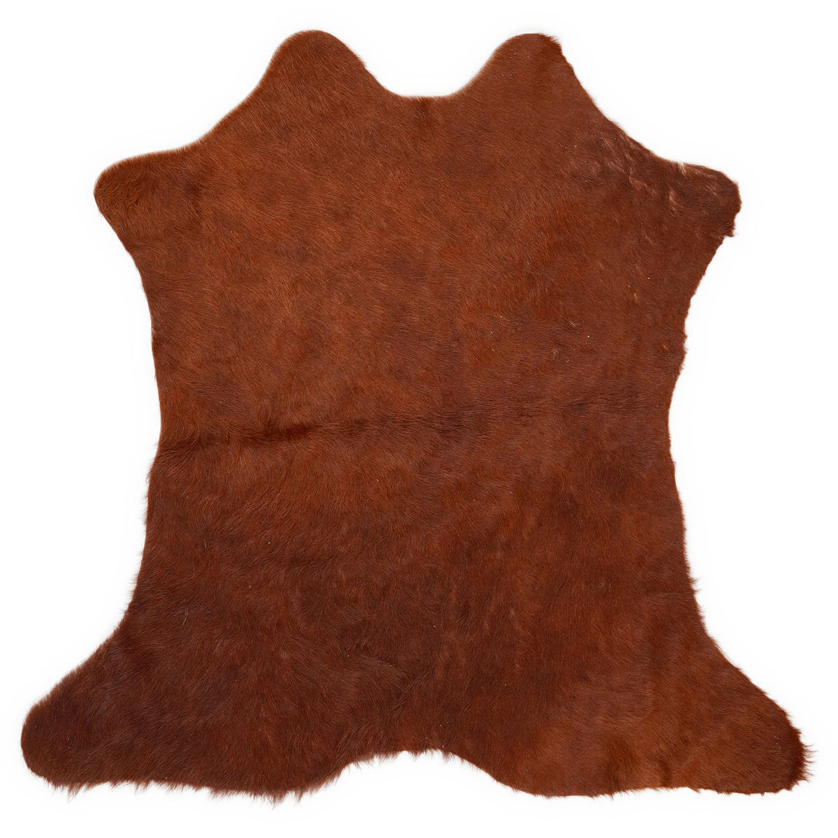 Mini cowhide of about 70 × 70 cm, seen from above: the exact hide you receive