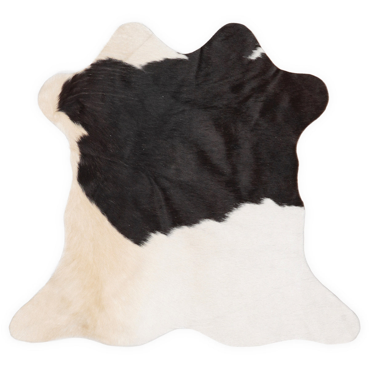Mini cowhide of about 70 × 70 cm, seen from above: the exact hide you receive