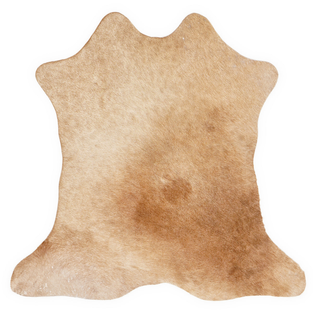 Mini cowhide of about 70 × 70 cm, seen from above: the exact hide you receive