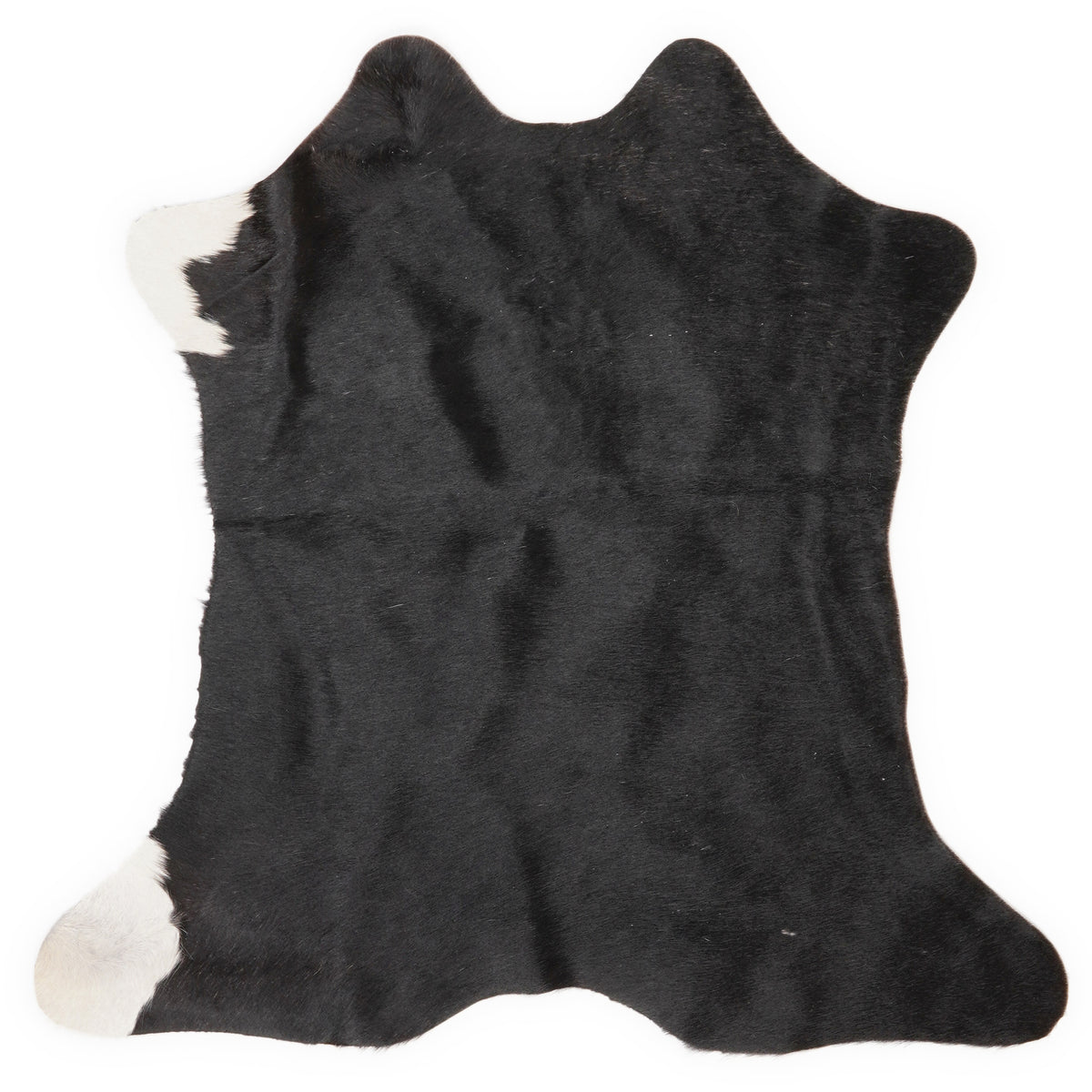 Mini cowhide of about 70 × 70 cm, seen from above: the exact hide you receive