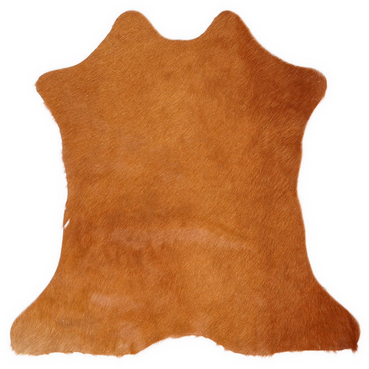 Mini cowhide of about 70 × 70 cm, seen from above: the exact hide you receive