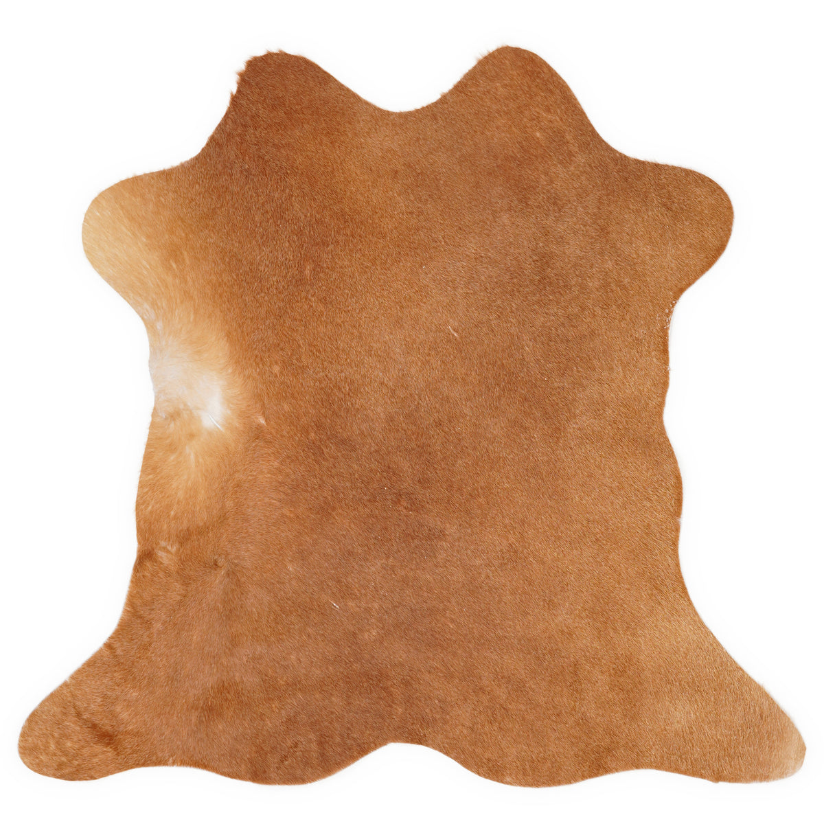 Mini cowhide of about 70 × 70 cm, seen from above: the exact hide you receive