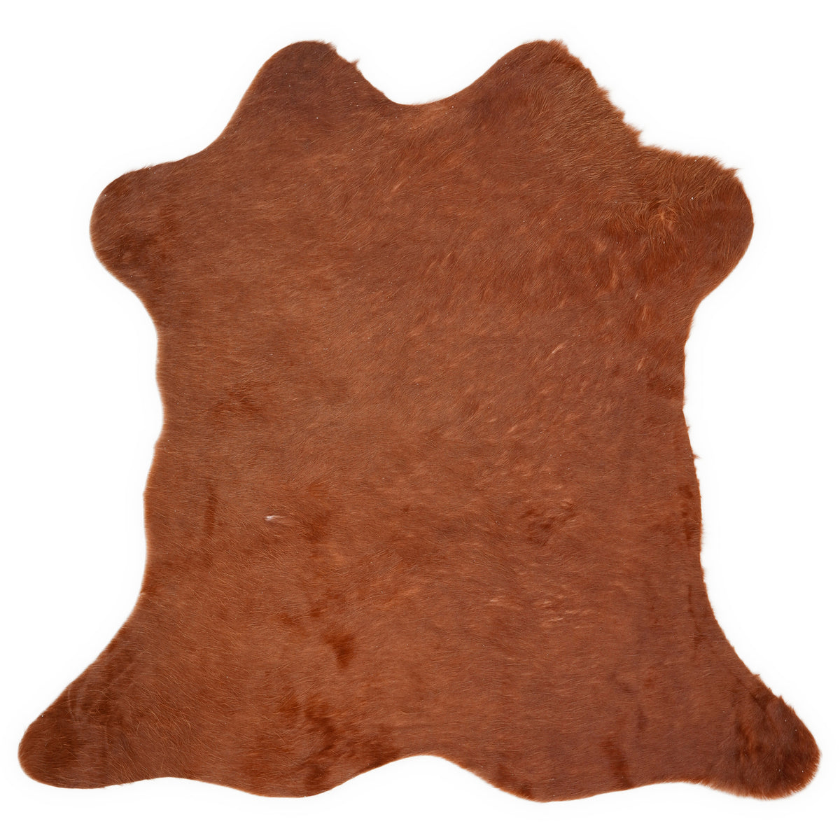 Mini cowhide of about 70 × 70 cm, seen from above: the exact hide you receive