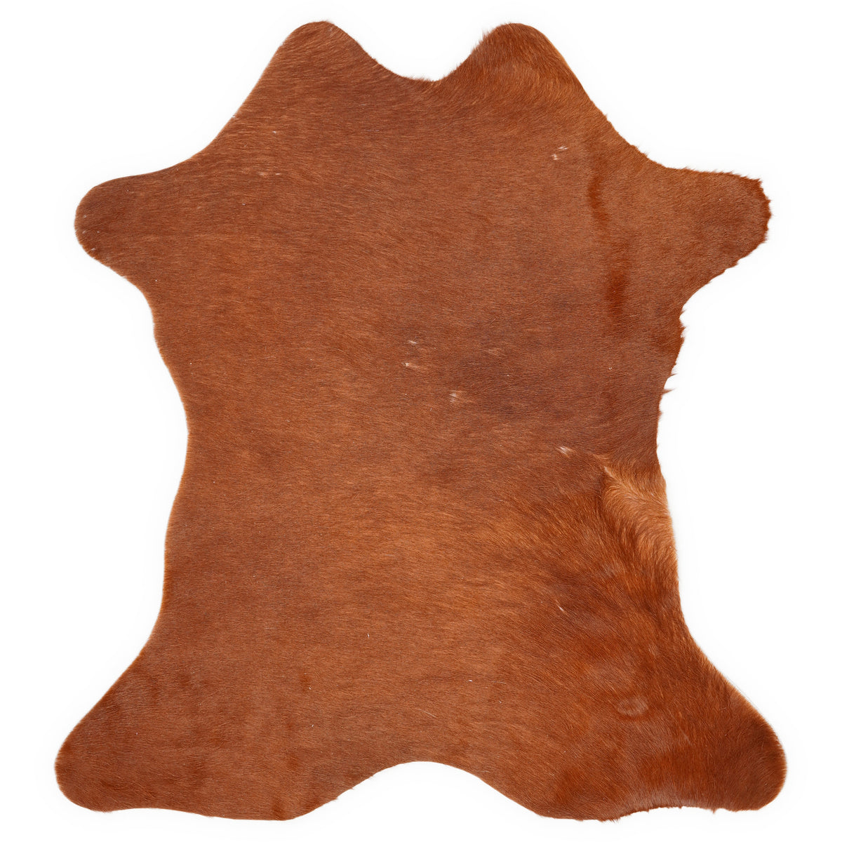 Mini cowhide of about 70 × 70 cm, seen from above: the exact hide you receive