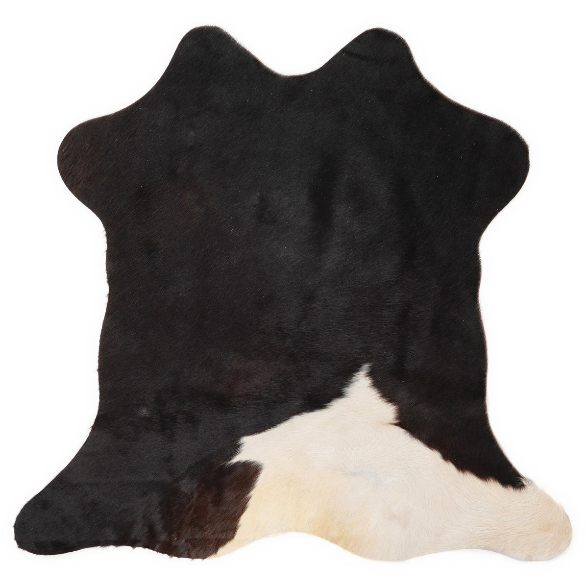Mini cowhide of about 70 × 70 cm, seen from above: the exact hide you receive