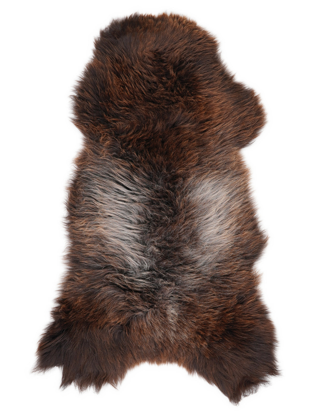 British multicolour sheepskin rug of about 120 × 60 cm, seen from above: the exact sheepskin you receive