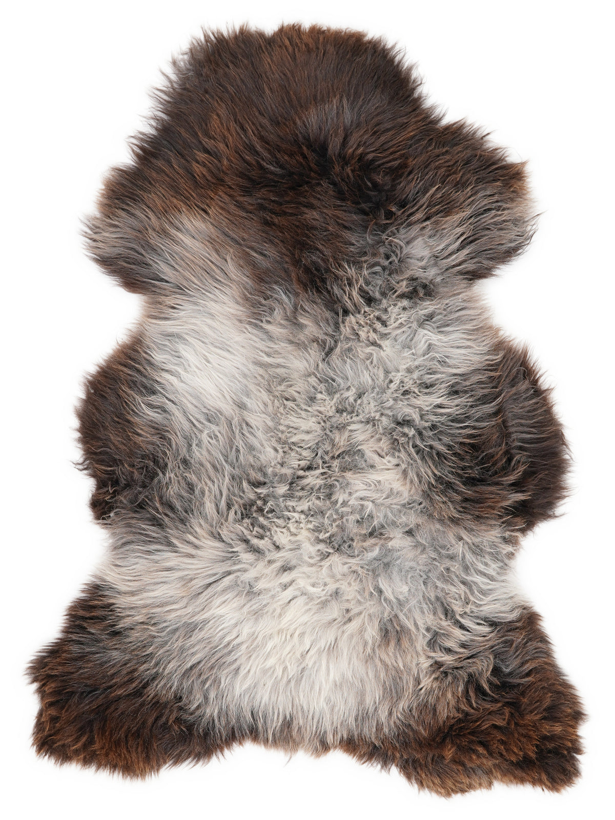 British multicolour sheepskin rug of about 120 × 70 cm, seen from above: the exact sheepskin you receive