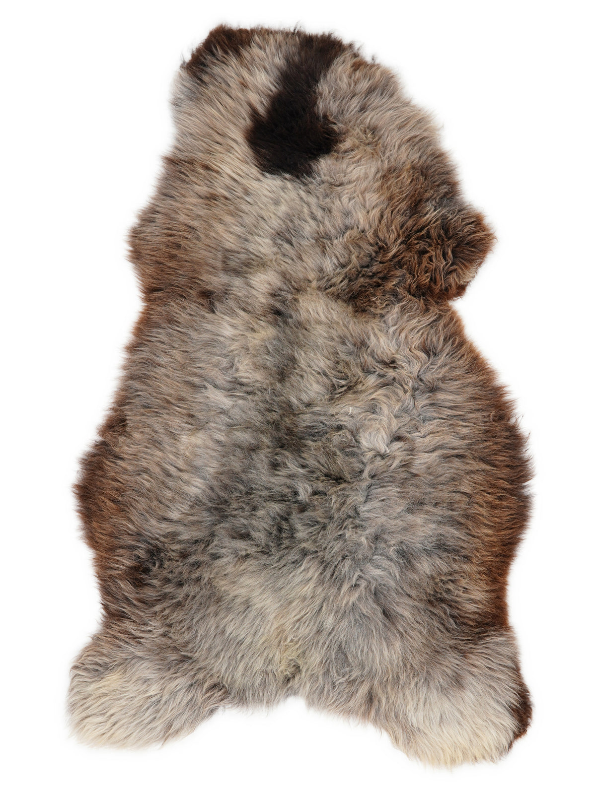 British multicolour sheepskin rug of about 130 × 75 cm, seen from above: the exact sheepskin you receive