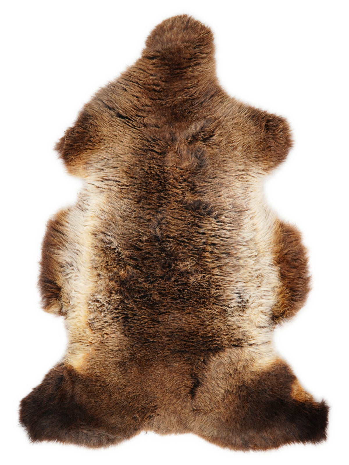 British multicolour sheepskin rug of about 120 × 70 cm, seen from above: the exact sheepskin you receive