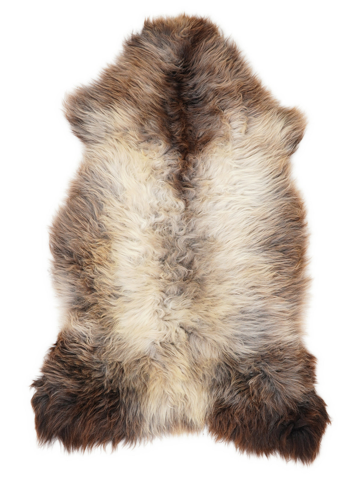 British multicolour sheepskin rug of about 120 × 65 cm, seen from above: the exact sheepskin you receive