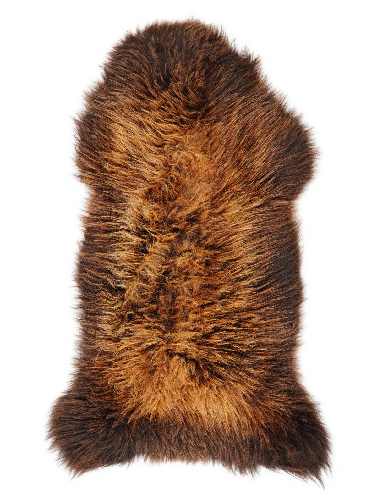 British multicolour sheepskin rug of about 120 × 55 cm, seen from above: the exact sheepskin you receive