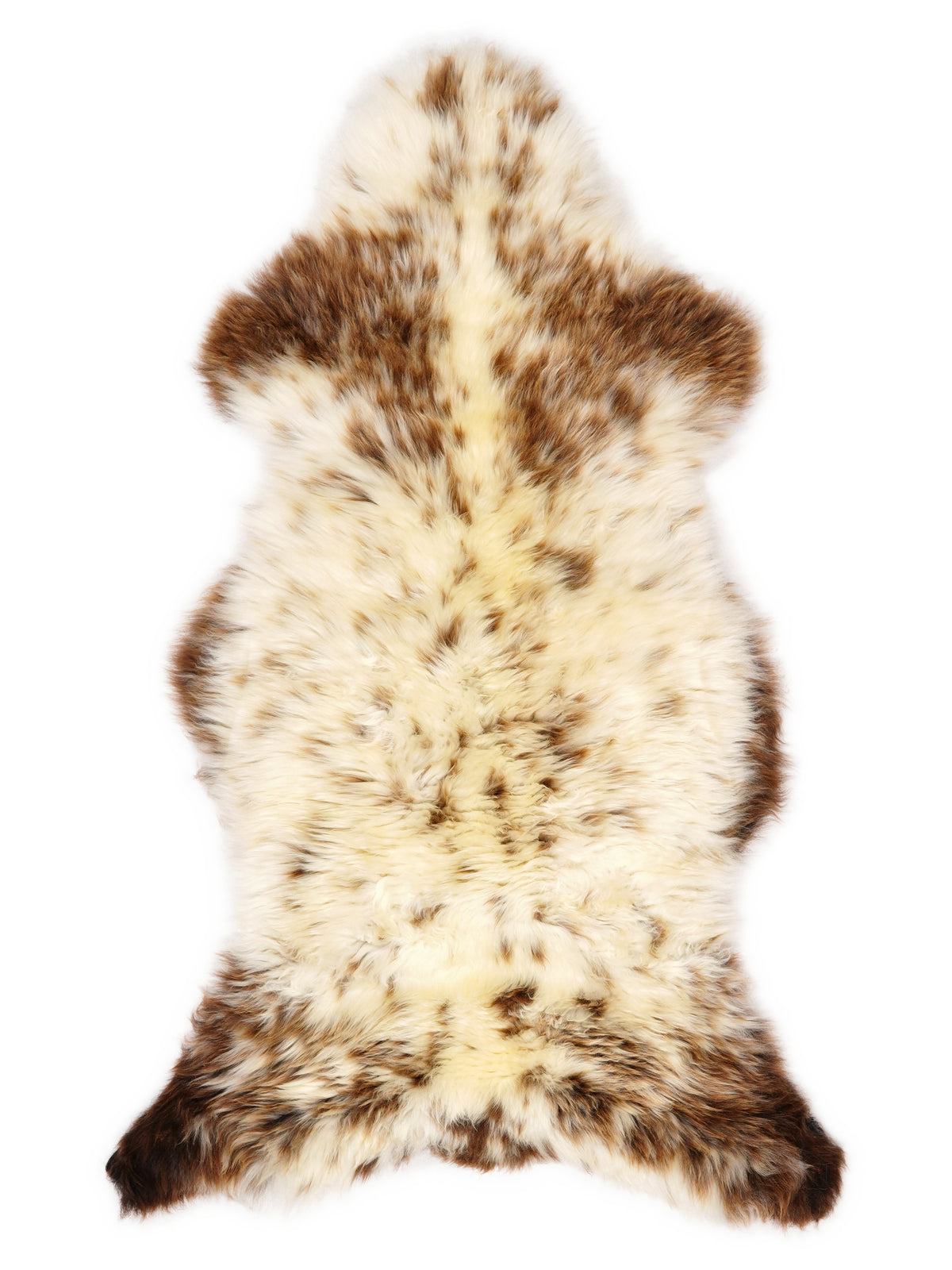 British multicolour sheepskin rug of about 120 × 55 cm, seen from above: the exact sheepskin you receive