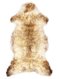 British multicolour sheepskin rug of about 120 × 60 cm, seen from above: the exact sheepskin you receive