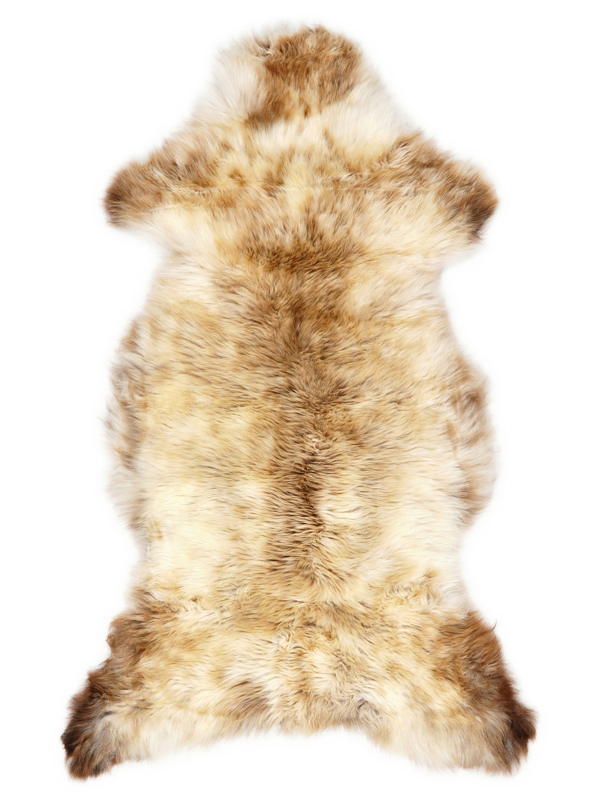 British multicolour sheepskin rug of about 120 × 60 cm, seen from above: the exact sheepskin you receive