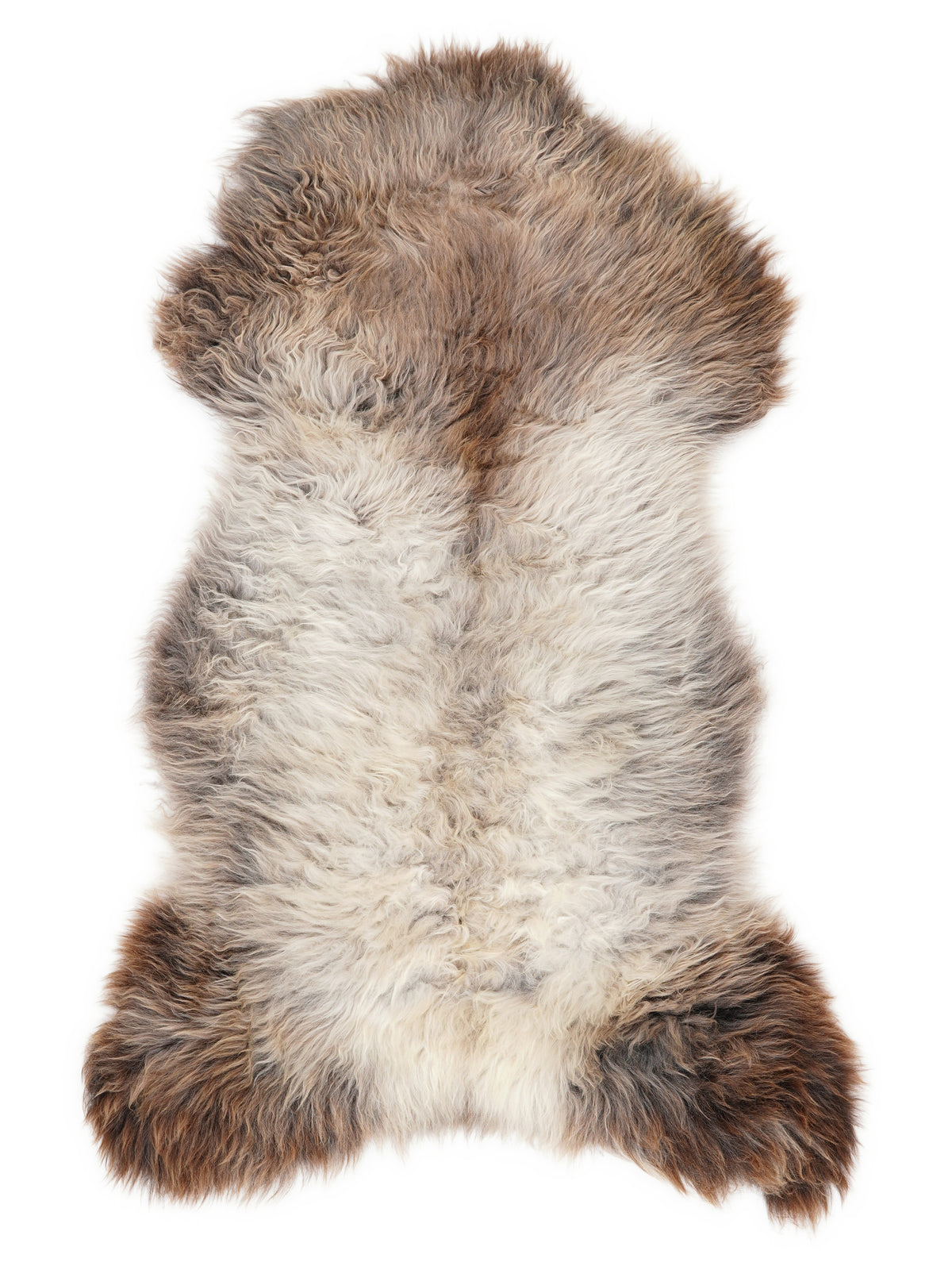 British multicolour sheepskin rug of about 120 × 60 cm, seen from above: the exact sheepskin you receive
