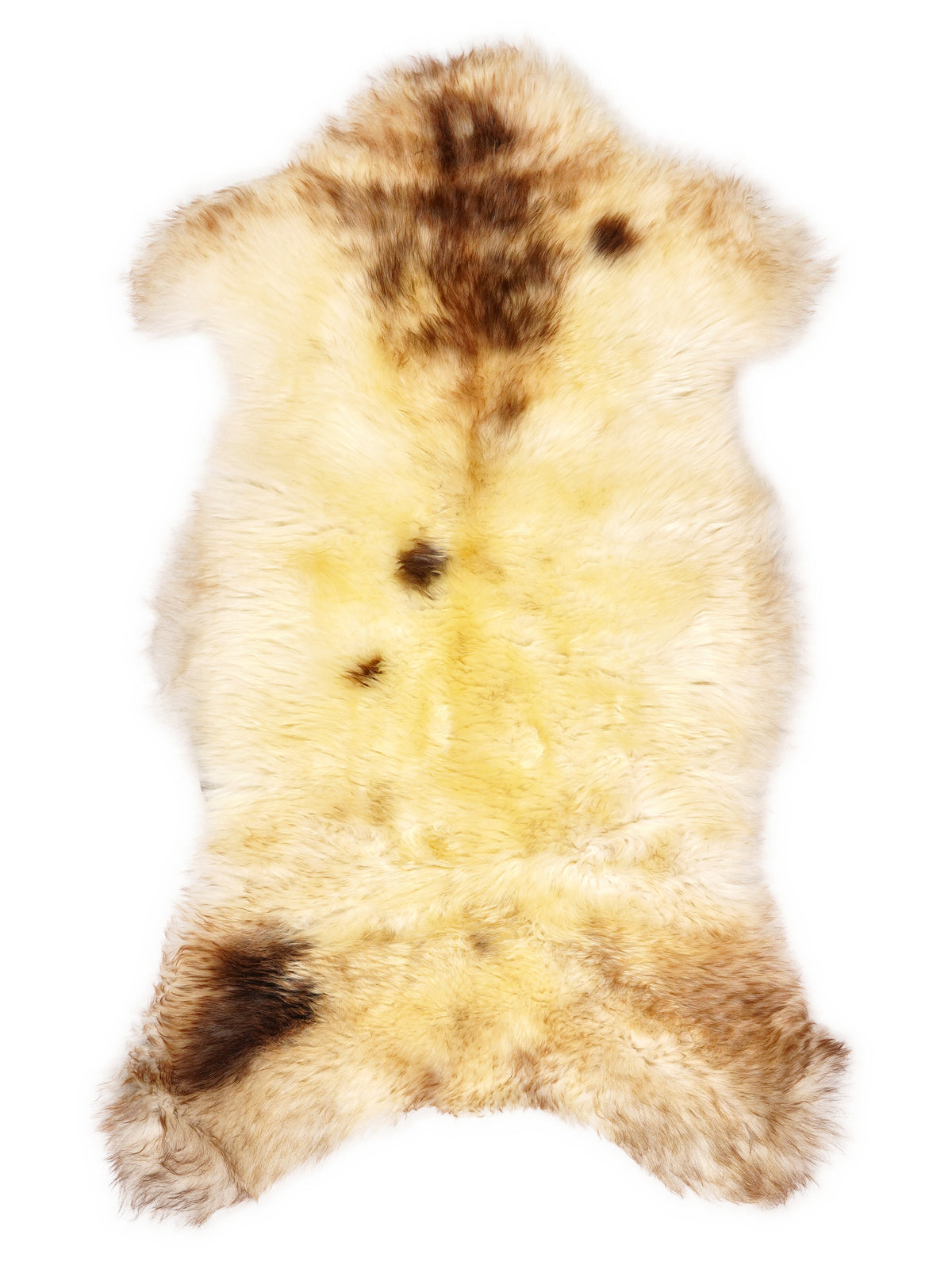 British multicolour sheepskin rug of about 110 × 55 cm, seen from above: the exact sheepskin you receive