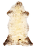 British multicolour sheepskin rug of about 125 × 55 cm, seen from above: the exact sheepskin you receive