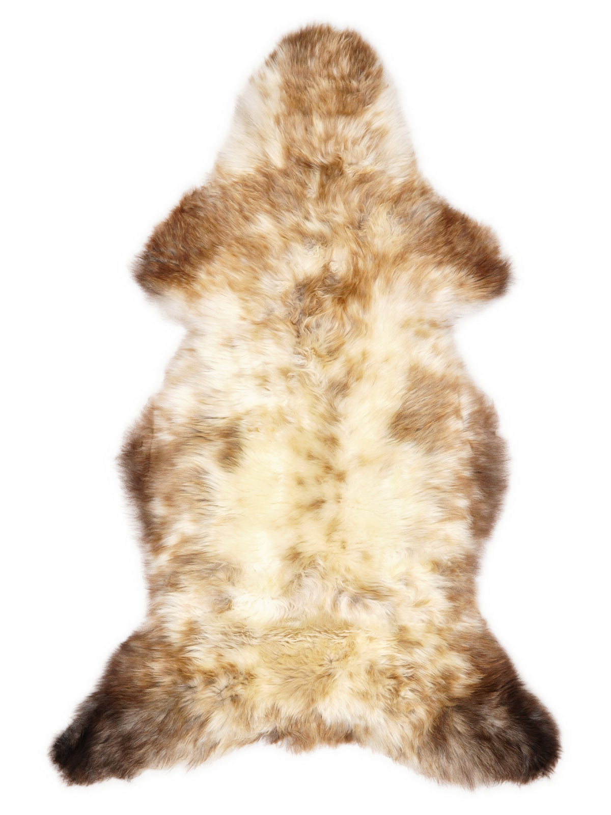British multicolour sheepskin rug of about 130 × 60 cm, seen from above: the exact sheepskin you receive