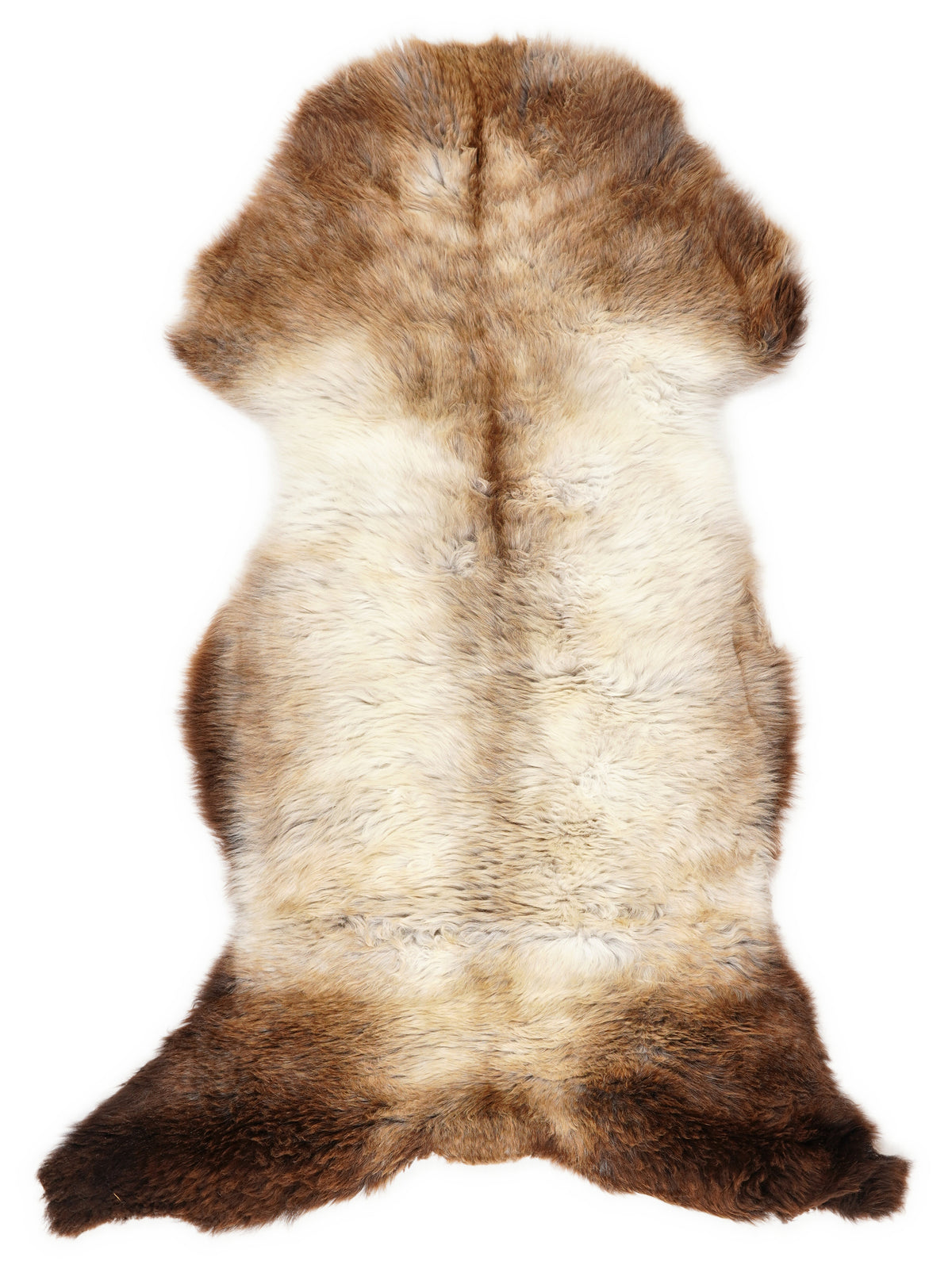 British multicolour sheepskin rug of about 120 × 55 cm, seen from above: the exact sheepskin you receive