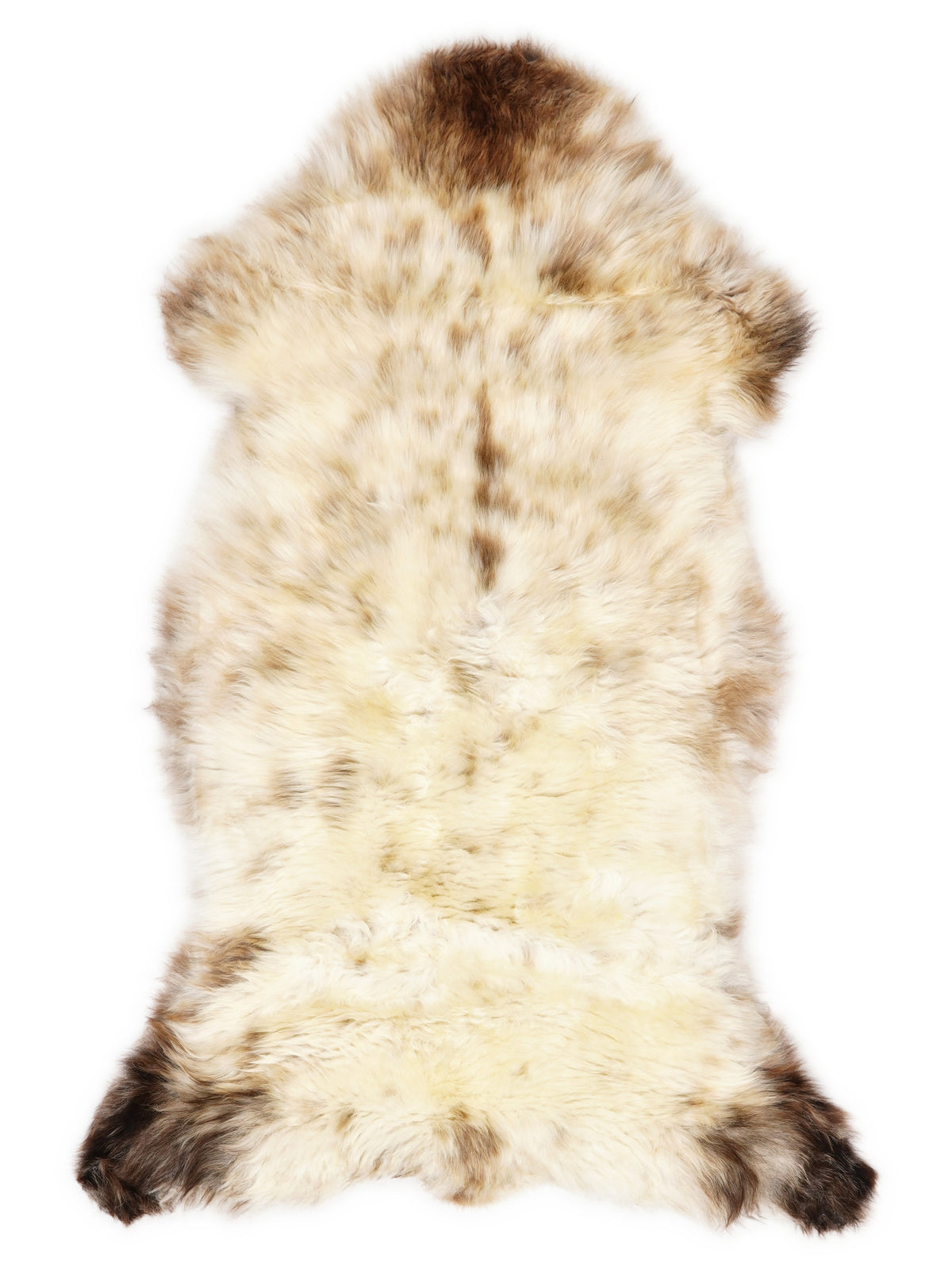 British multicolour sheepskin rug of about 120 × 60 cm, seen from above: the exact sheepskin you receive