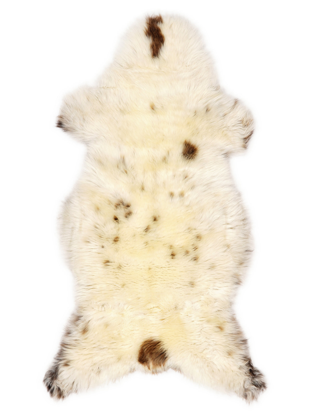British multicolour sheepskin rug of about 130 × 60 cm, seen from above: the exact sheepskin you receive