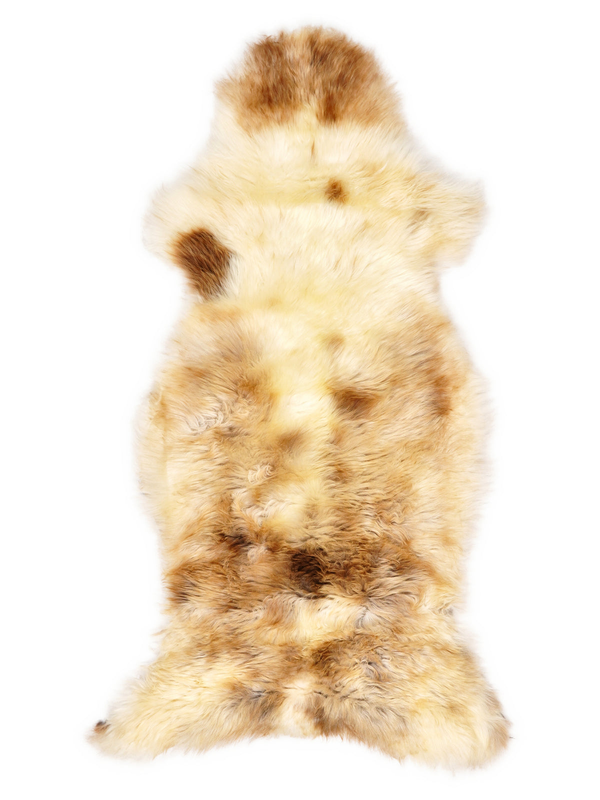 British multicolour sheepskin rug of about 125 × 55 cm, seen from above: the exact sheepskin you receive
