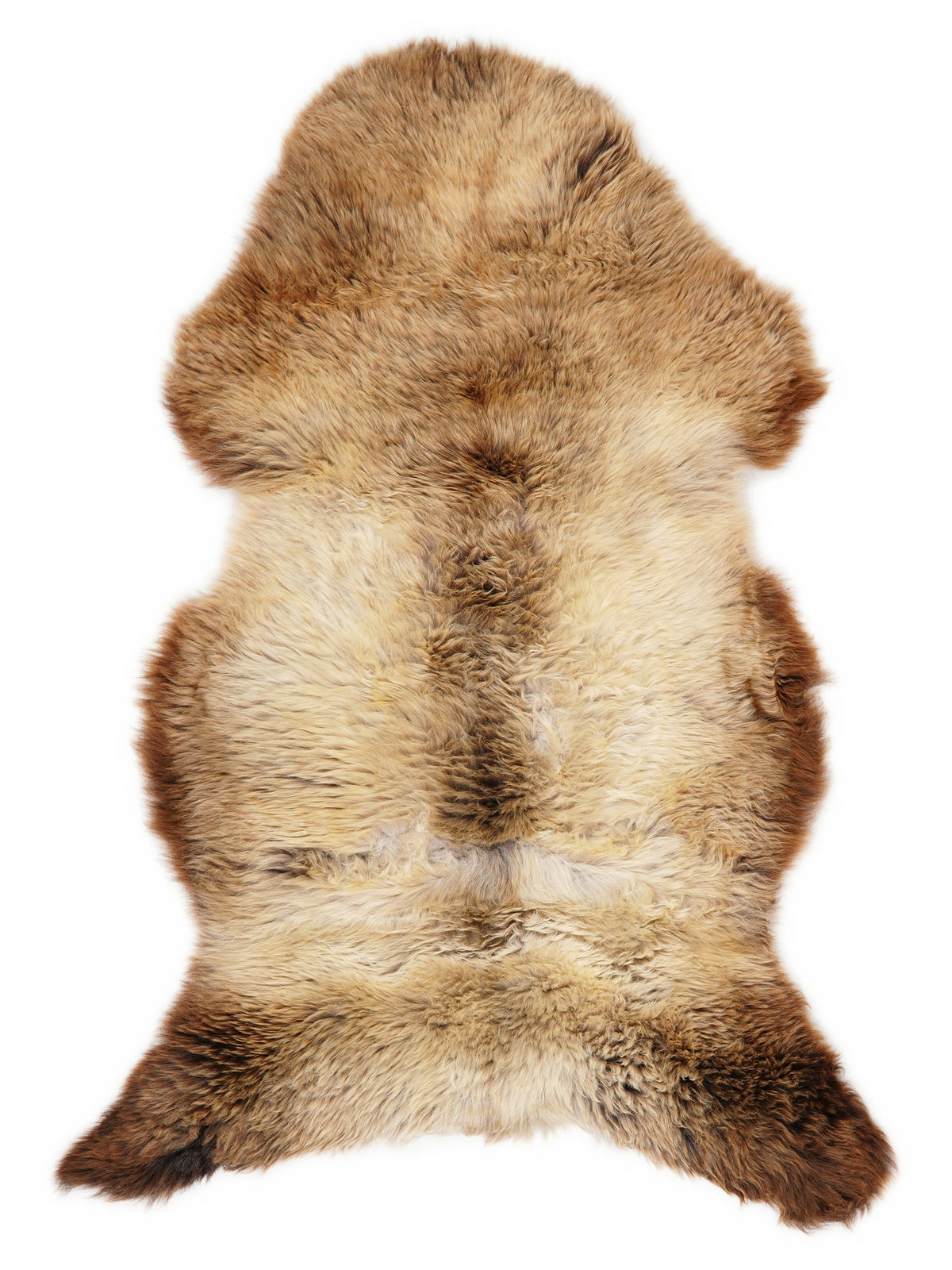British multicolour sheepskin rug of about 120 × 65 cm, seen from above: the exact sheepskin you receive
