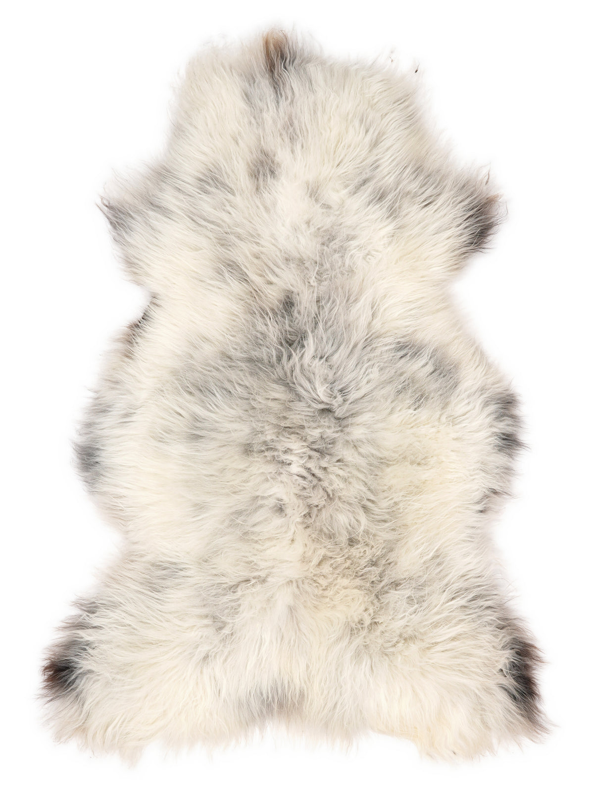 British multicolour sheepskin rug of about 125 × 75 cm, seen from above: the exact sheepskin you receive