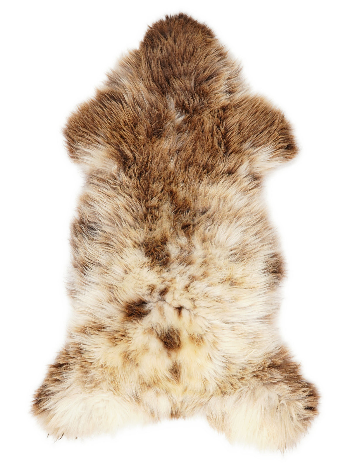 British multicolour sheepskin rug of about 130 × 60 cm, seen from above: the exact sheepskin you receive
