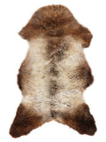 British multicolour sheepskin rug of about 105 × 55 cm, seen from above: the exact sheepskin you receive
