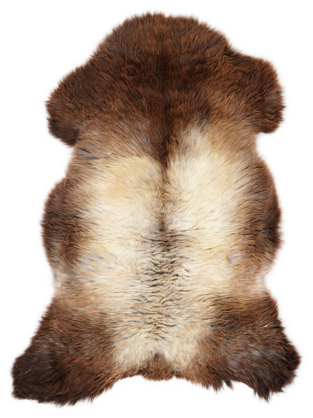 British multicolour sheepskin rug of about 120 × 65 cm, seen from above: the exact sheepskin you receive