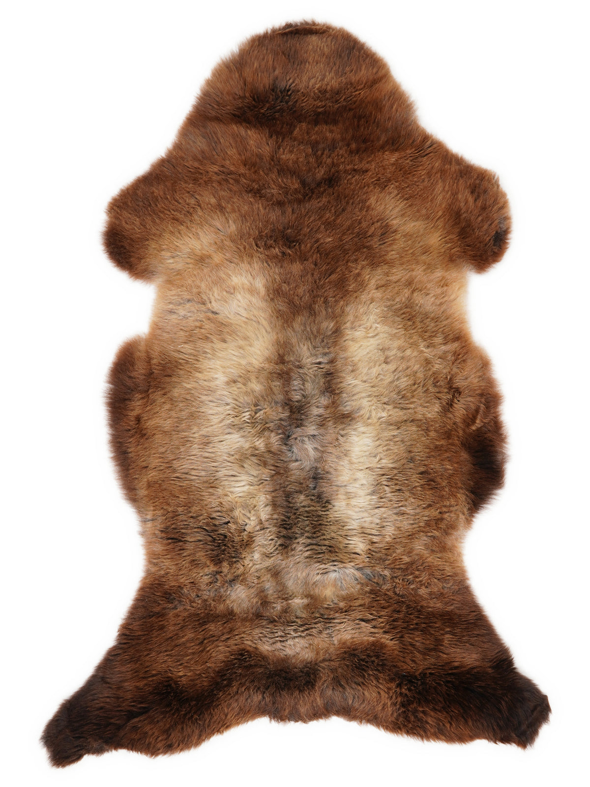 British multicolour sheepskin rug of about 115 × 60 cm, seen from above: the exact sheepskin you receive