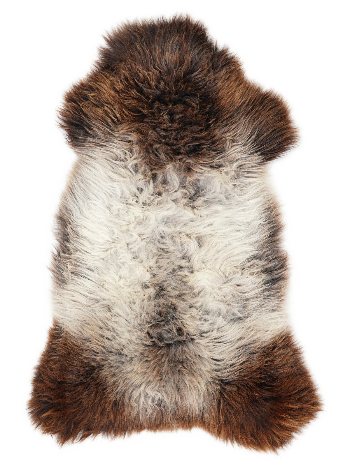 British multicolour sheepskin rug of about 120 × 65 cm, seen from above: the exact sheepskin you receive