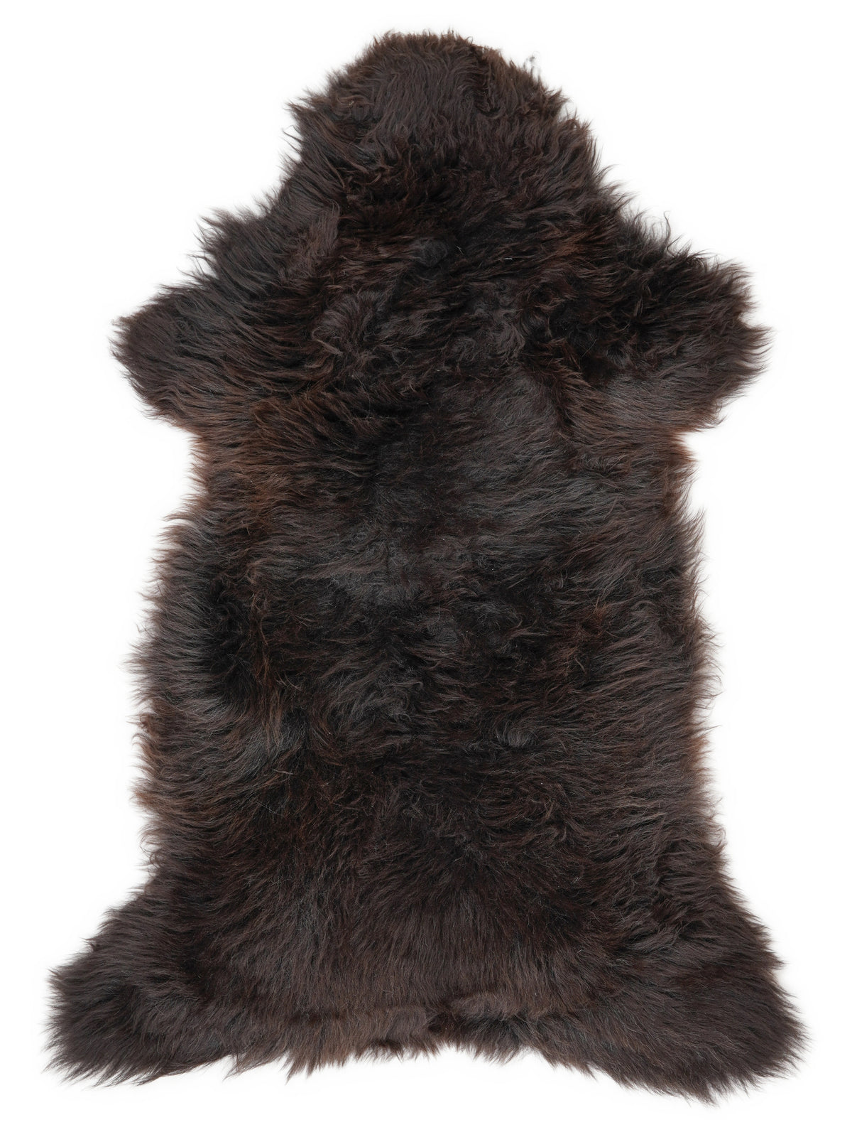 British multicolour sheepskin rug of about 120 × 60 cm, seen from above: the exact sheepskin you receive