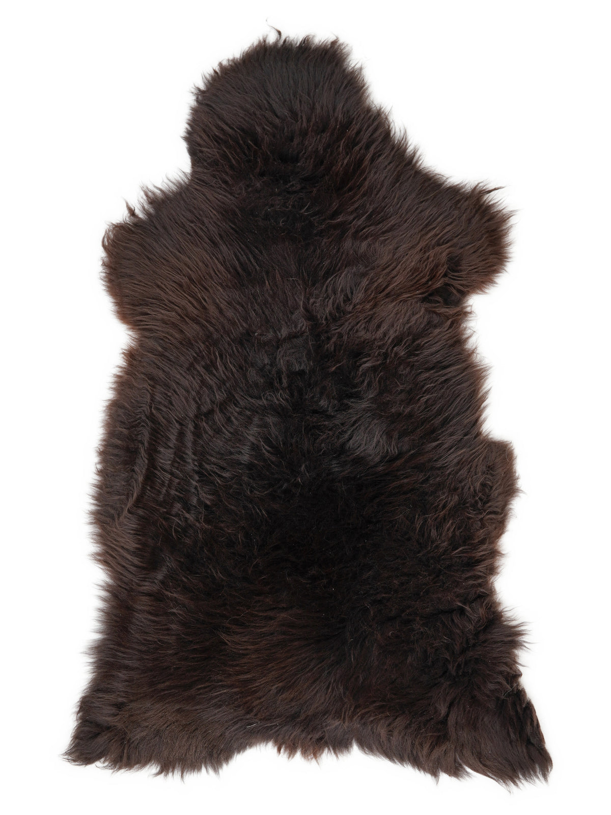 British multicolour sheepskin rug of about 130 × 65 cm, seen from above: the exact sheepskin you receive