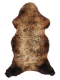 British multicolour sheepskin rug of about 115 × 55 cm, seen from above: the exact sheepskin you receive