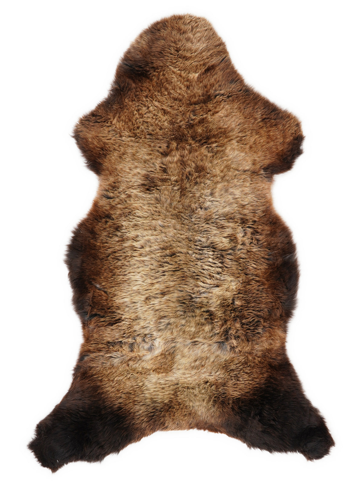 British multicolour sheepskin rug of about 115 × 55 cm, seen from above: the exact sheepskin you receive