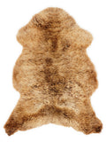 British multicolour sheepskin rug of about 100 × 65 cm, seen from above: the exact sheepskin you receive
