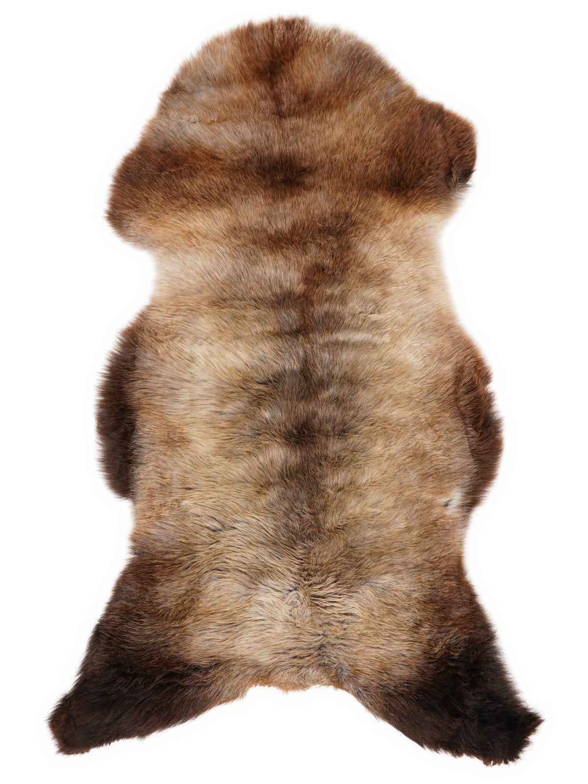 British multicolour sheepskin rug of about 120 × 60 cm, seen from above: the exact sheepskin you receive
