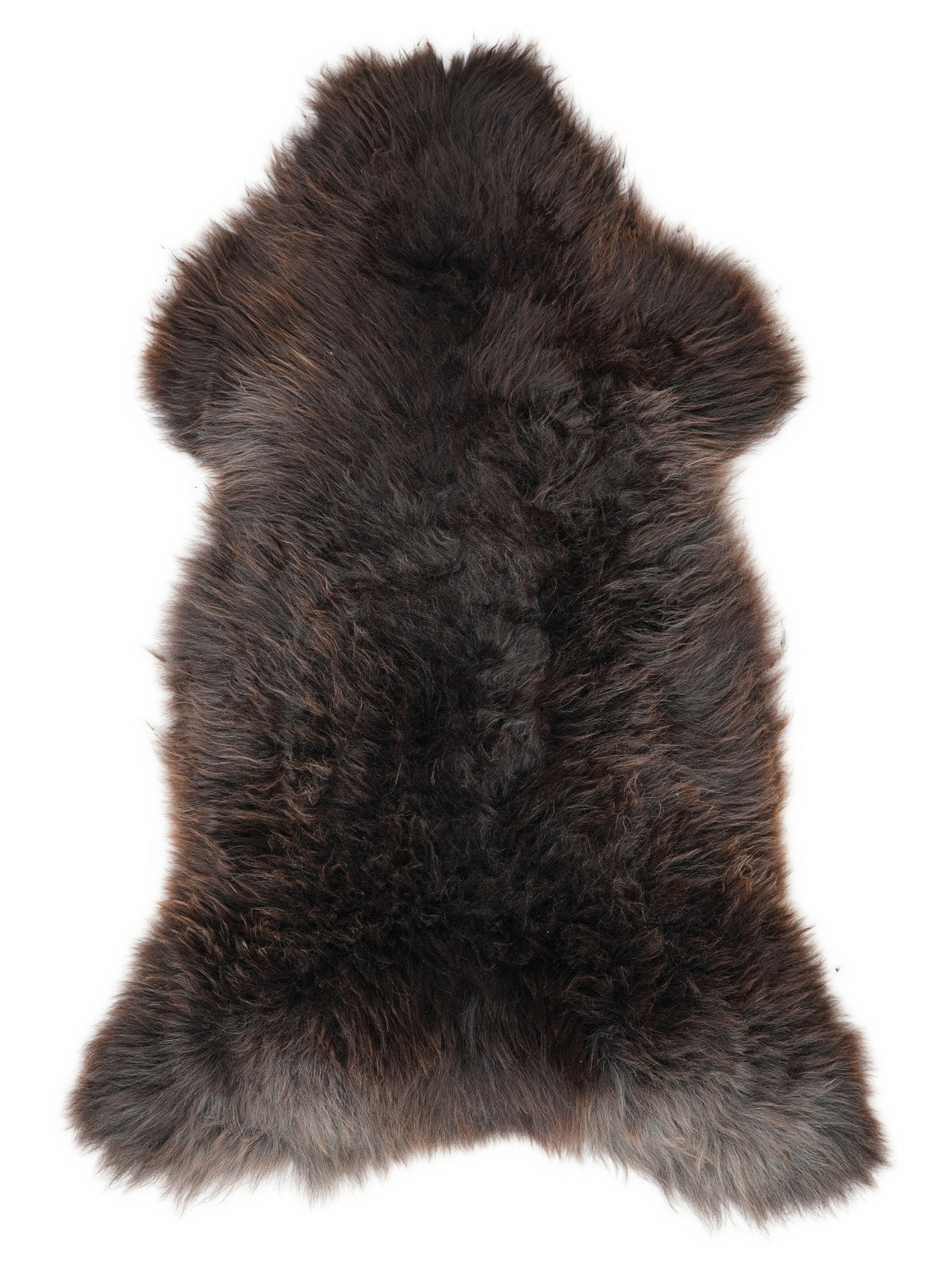 British multicolour sheepskin rug of about 130 × 60 cm, seen from above: the exact sheepskin you receive