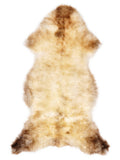 British multicolour sheepskin rug of about 130 × 60 cm, seen from above: the exact sheepskin you receive