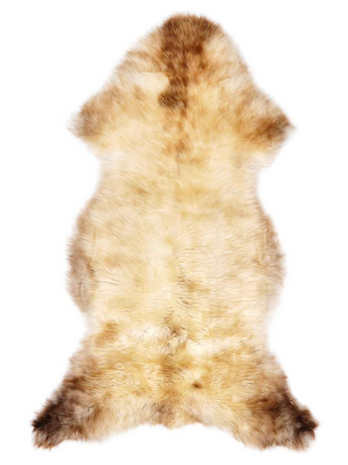 British multicolour sheepskin rug of about 130 × 60 cm, seen from above: the exact sheepskin you receive
