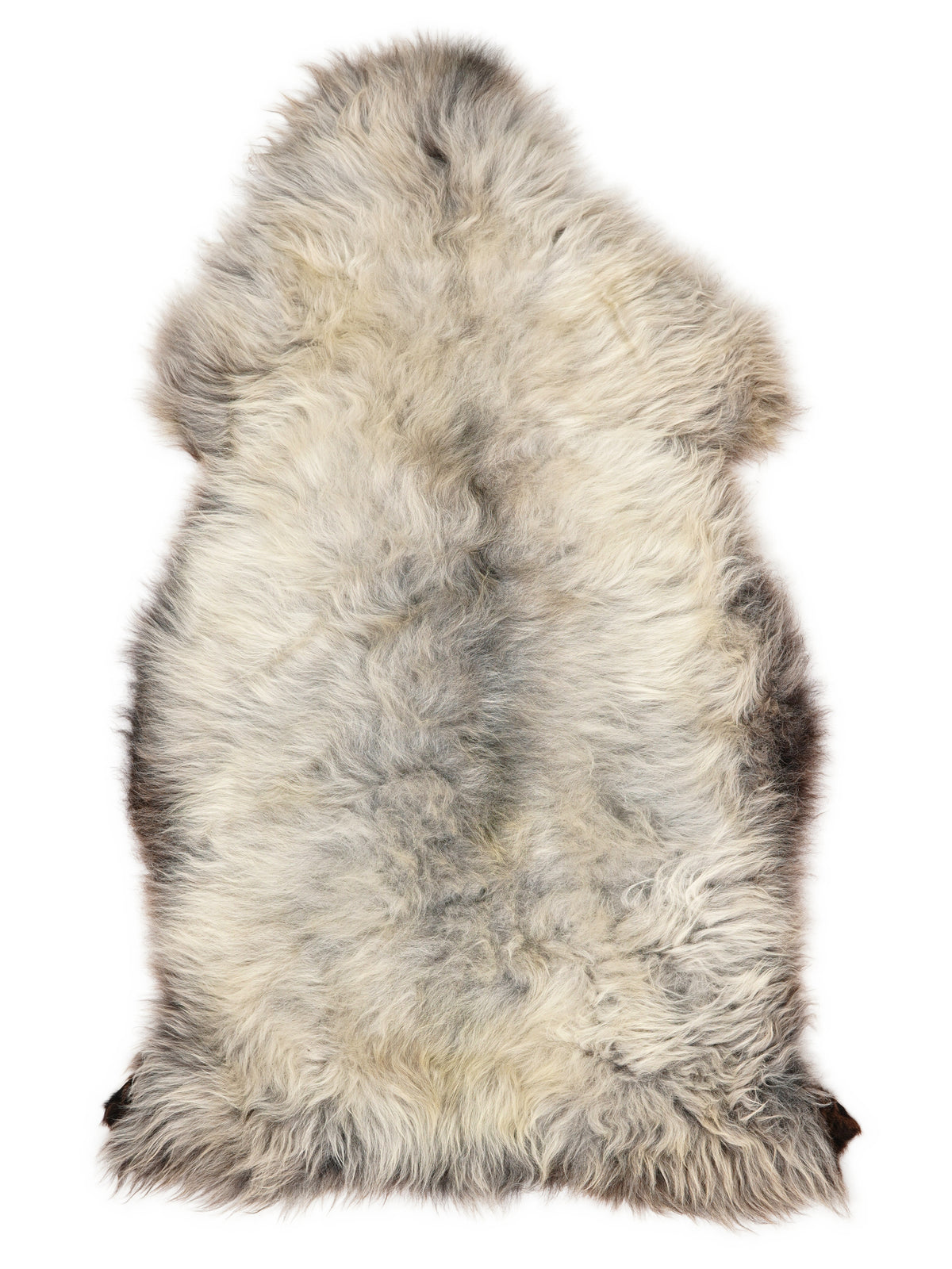 British multicolour sheepskin rug of about 140 × 75 cm, seen from above: the exact sheepskin you receive