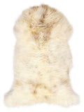 British multicolour sheepskin rug of about 120 × 65 cm, seen from above: the exact sheepskin you receive