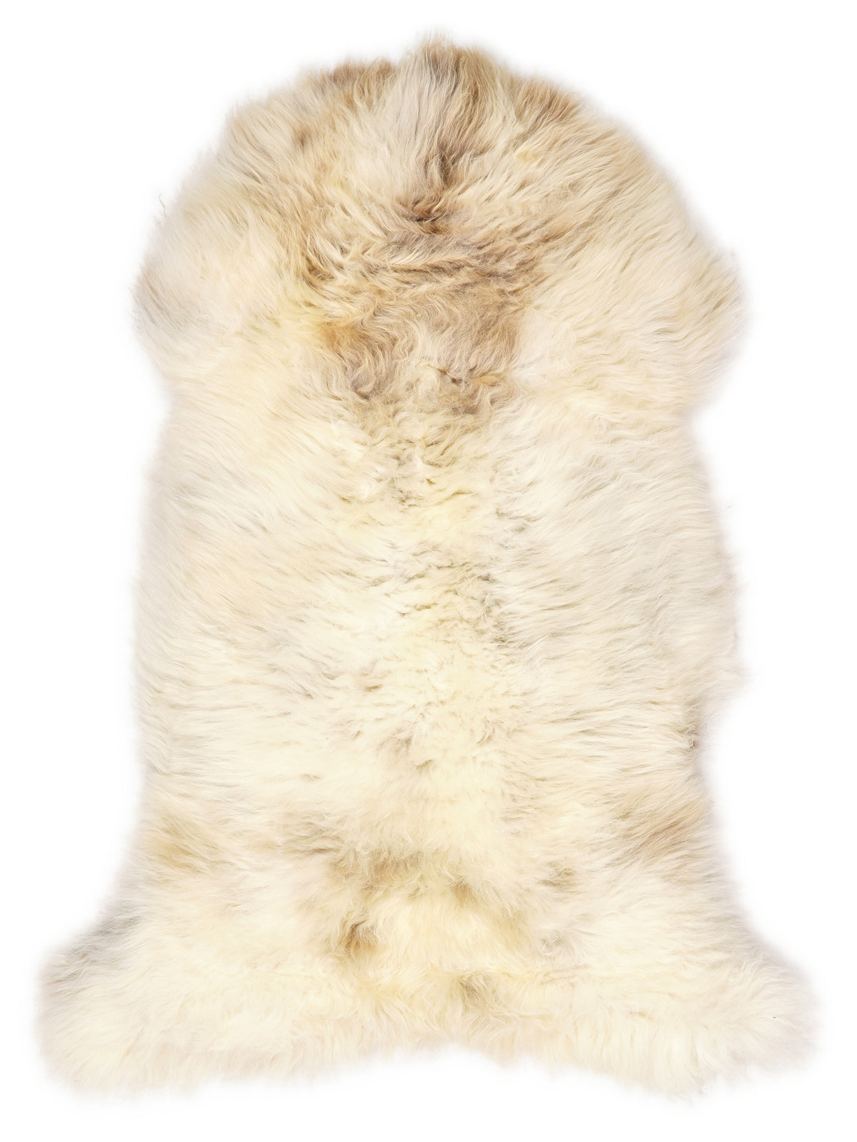British multicolour sheepskin rug of about 120 × 65 cm, seen from above: the exact sheepskin you receive
